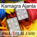 Kamagra Ajanta 17